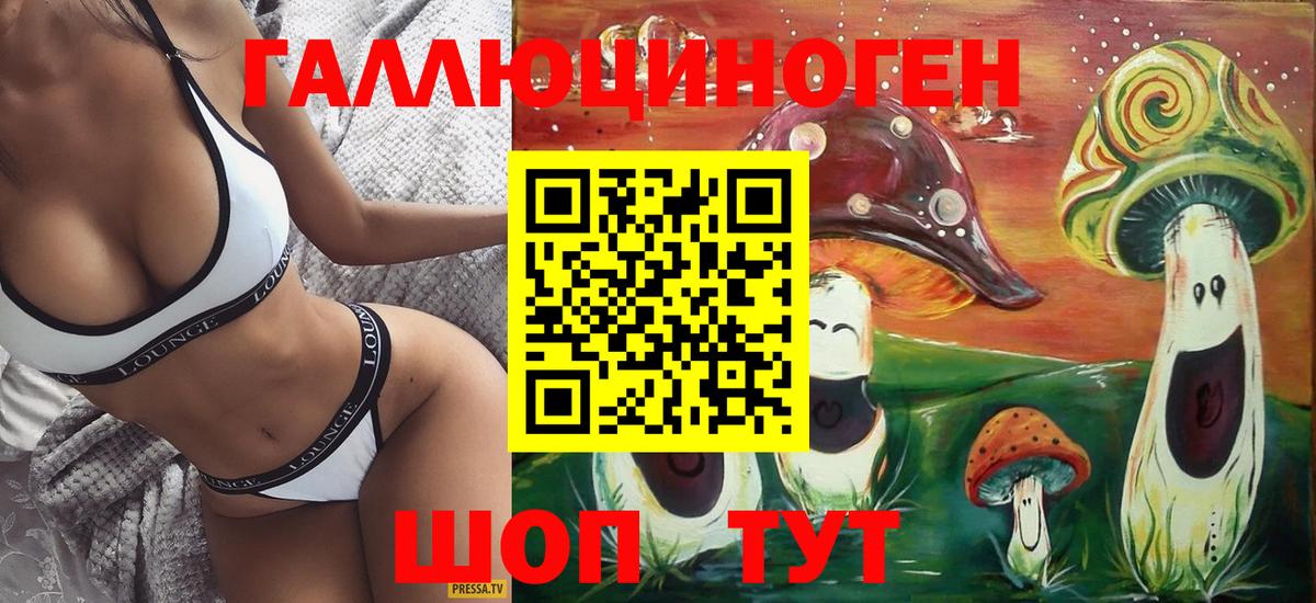 Псилоцибиновые грибы Psilocybe  где купить наркоту  Буйнакск  Псилоцибиновые грибы ЛСД  Вход с VPN 
