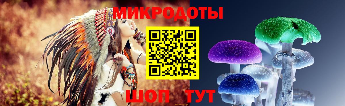Псилоцибиновые грибы Cubensis Буйнакск